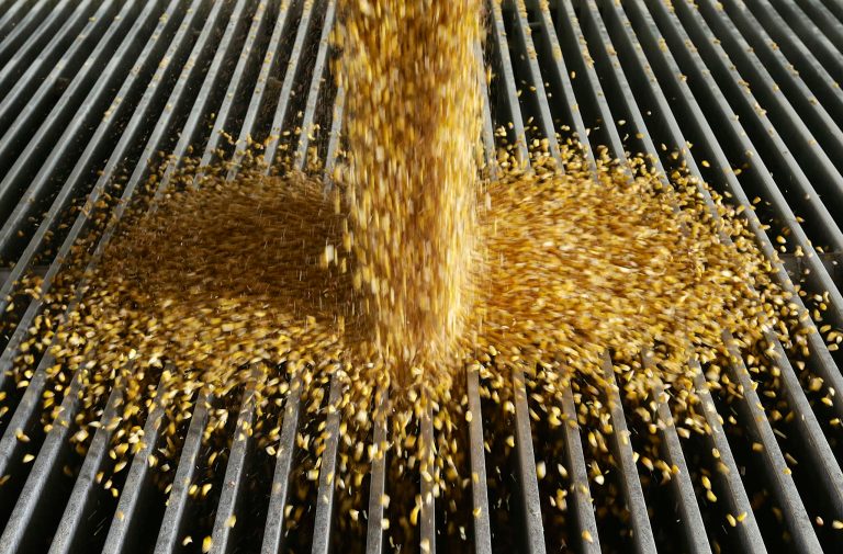 The oil and biofuel industries worry that EPA could get it wrong in issuing new renewable fuel standards. (AP)