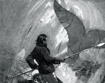 Inside the Whale