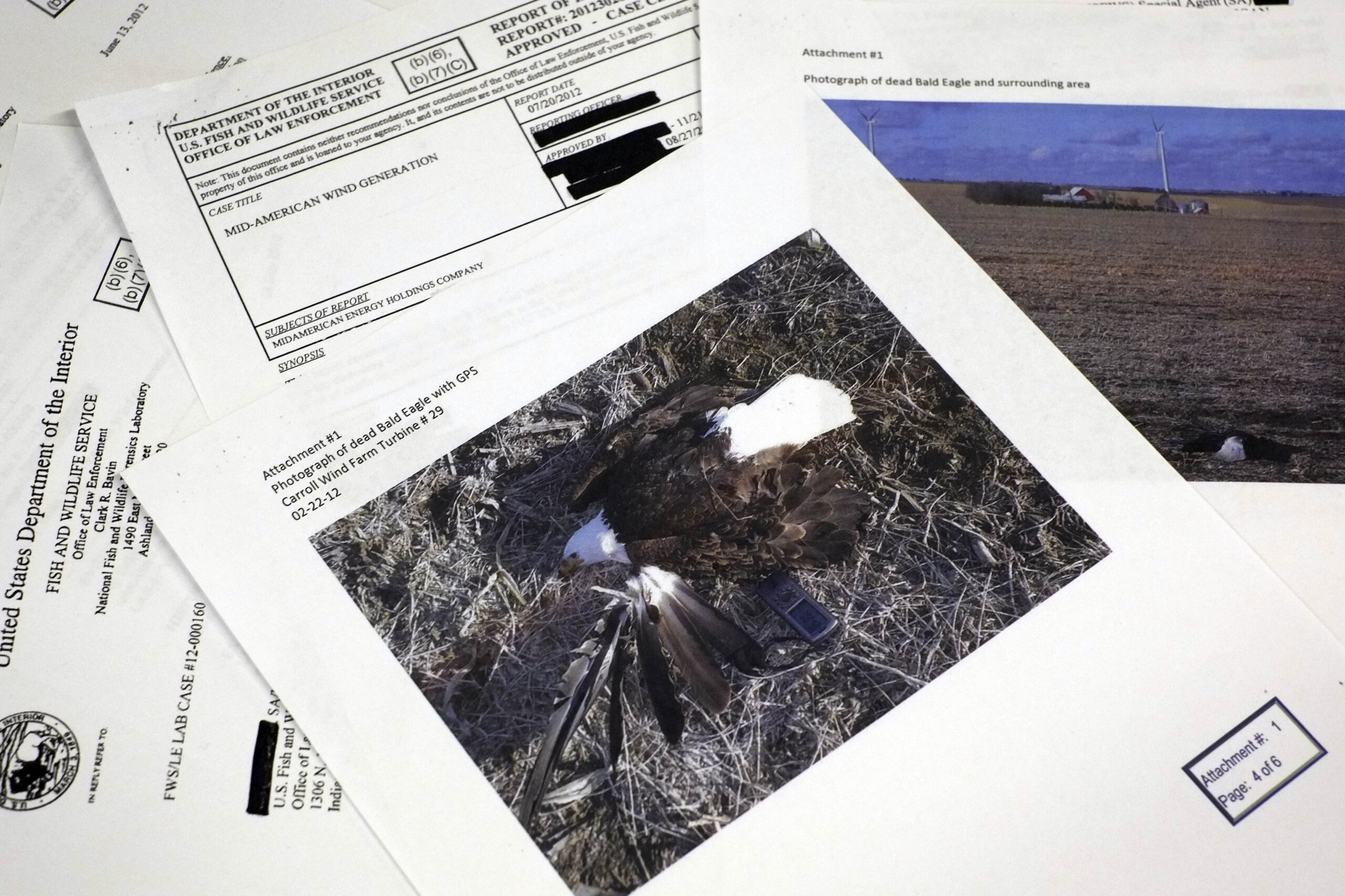 Study: Wind farms killed 67 eagles in 5 years