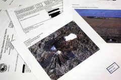 Study: Wind farms killed 67 eagles in 5 years