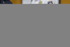 New York construction firms accused of safety scam