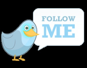 Tweet Down This Wall