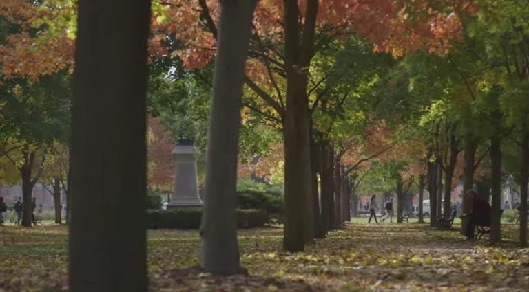 Ella Taylor listed "The Hunting Ground" as a film that received "empty prestige." (Image courtesy screenshot)