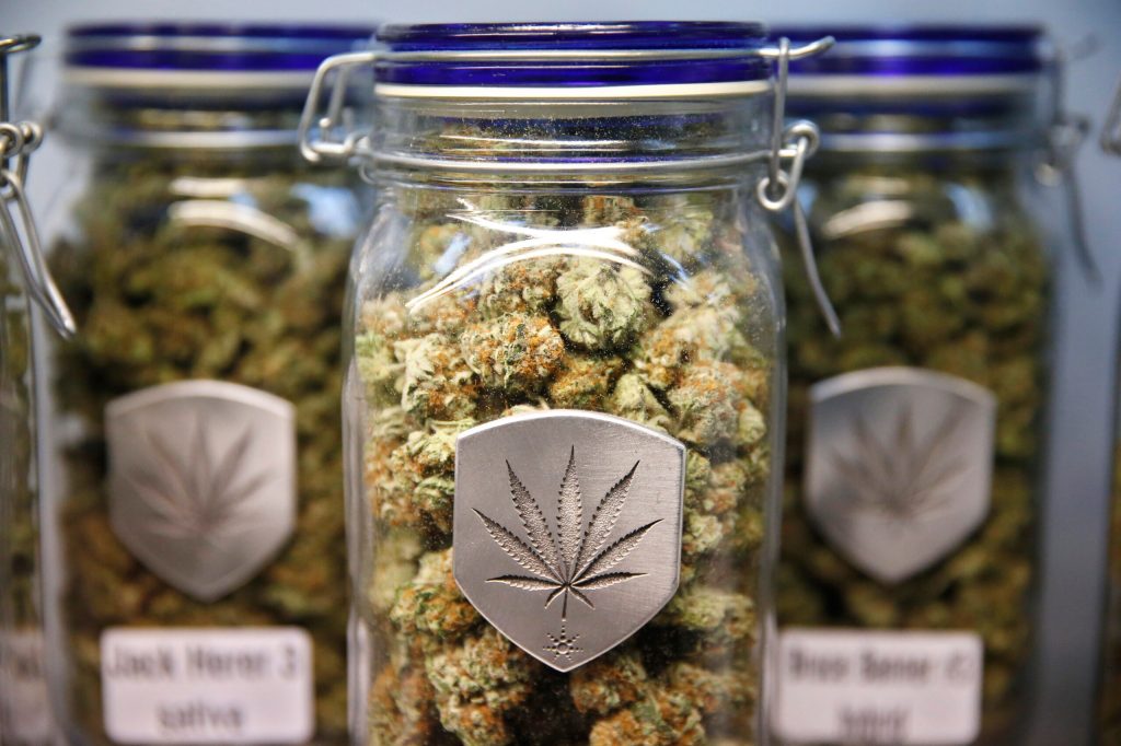 Legal pot one year later