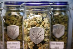 Recriminalize, don’t decriminalize marijuana