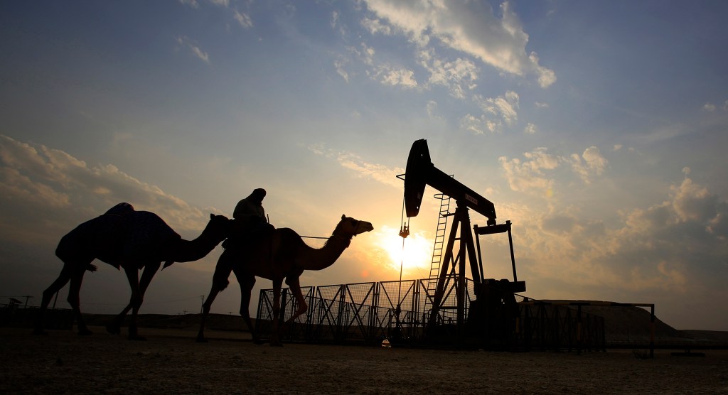 A stark reminder from OPEC