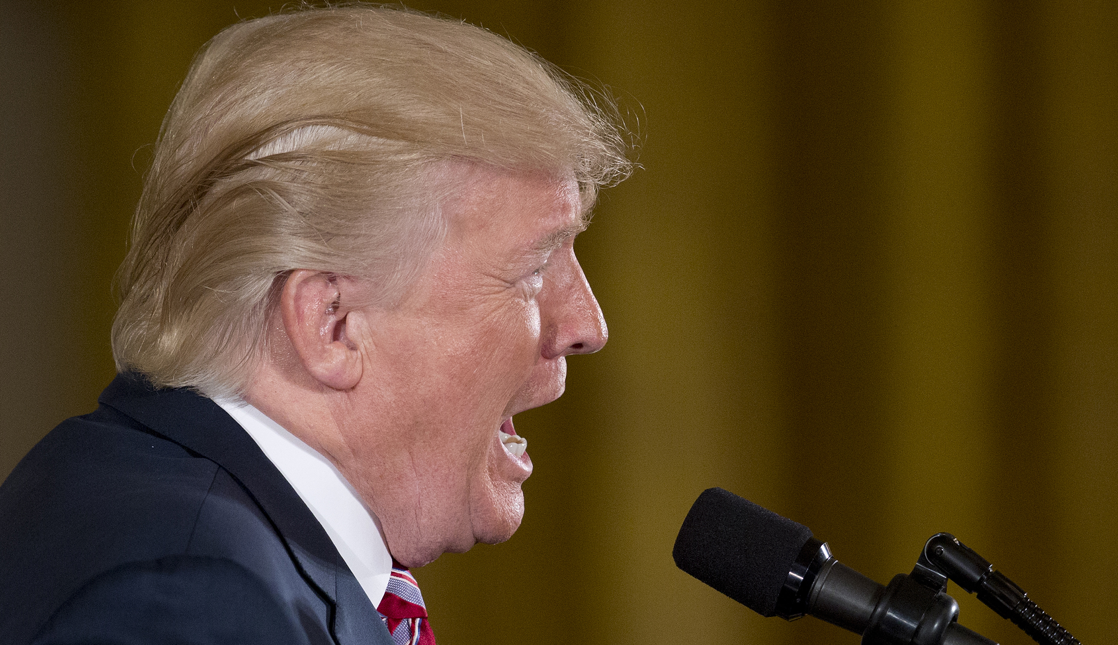 Two House Democrats drafting Trump articles of impeachment