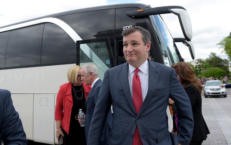 Sen. Ted Cruz, R-Texas, also wants to pass just one bill to get the job done, not two, as currently planned by House Republican leaders. (AP Photo/Susan Walsh)