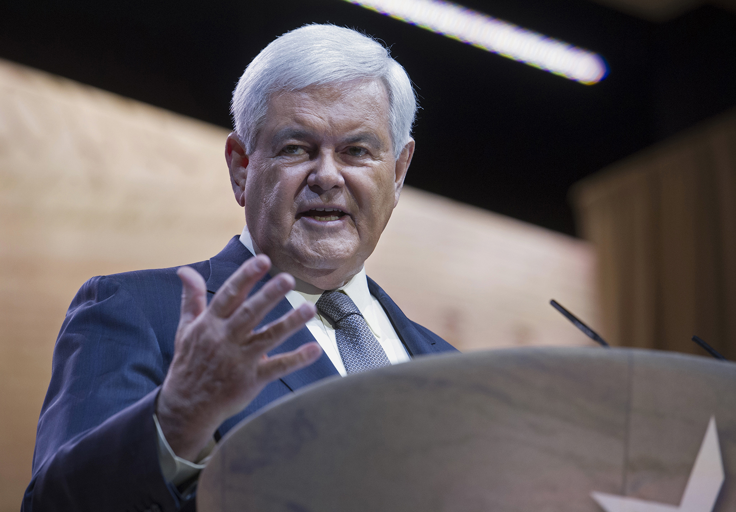 Gingrich says he does not want to be Trump’s veep