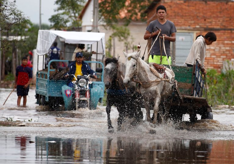 Paraguay phases out horse-drawn junk wagons