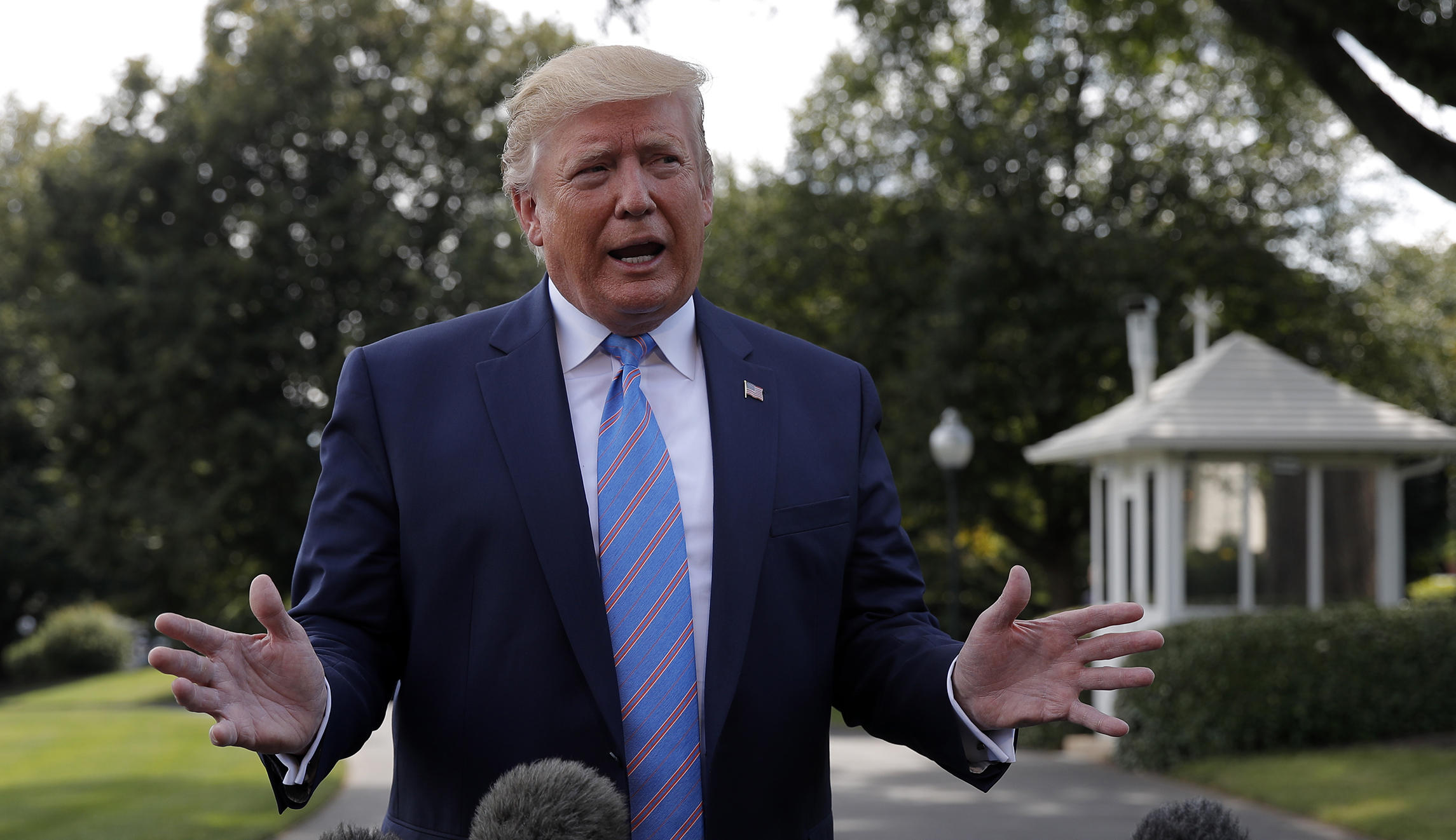 Trump calls for ‘marrying’ background checks and immigration reform