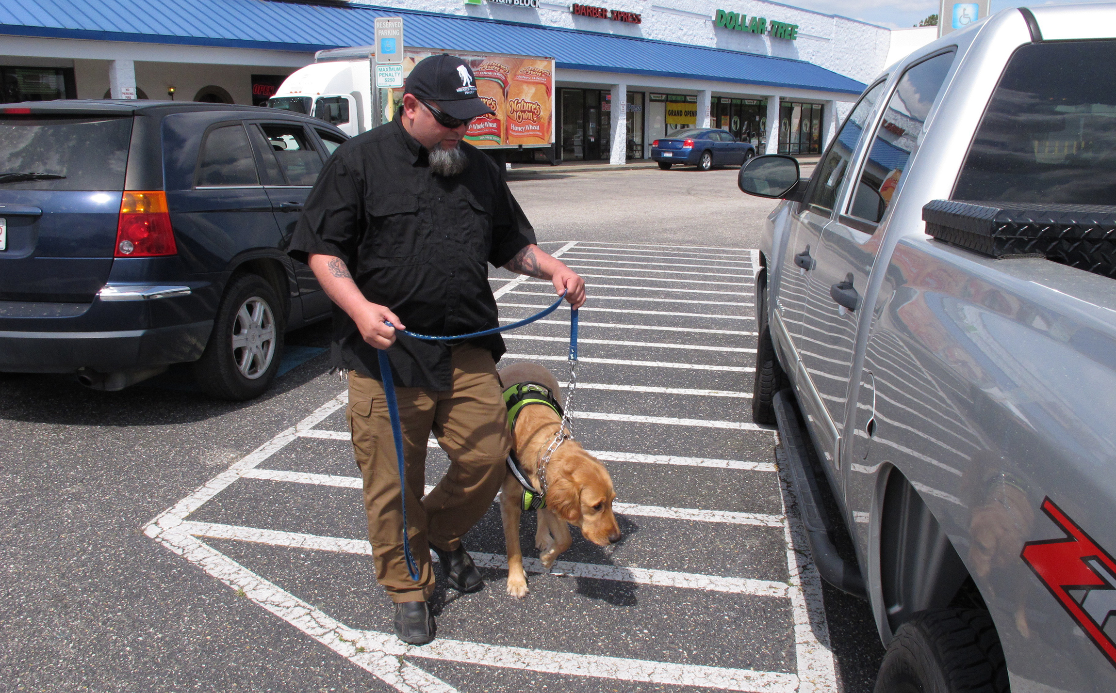 Veterans with PTSD could get help from furry friends