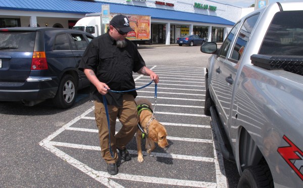 Veterans with PTSD could get help from furry friends