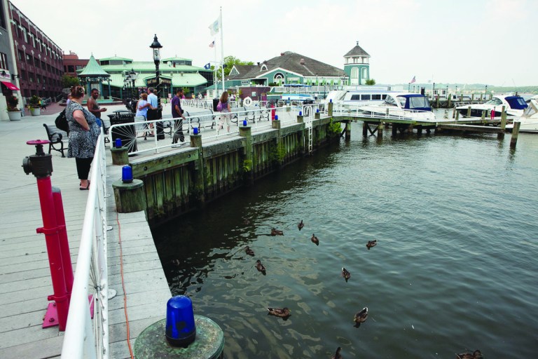 Old Dominion Boat Club fighting with city of Alexandria with they say is trying to take some of their prime waterfront property. In Alexandria, VA on Friday July 22, 2011.

Andrew Harnik/Examiner