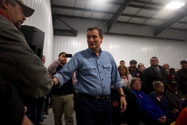 Cruz calls for ‘retroactive assessment of refugees’