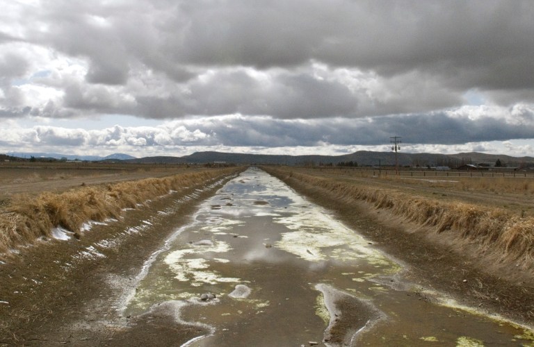 Last summer, irrigation water was shut off to hundreds of upper basin ranches after the Klamath Tribes exercised newly acquired water rights to protect fish in rivers running through former reservation lands. (AP Photo)