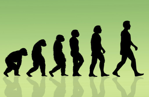 Republican belief in evolution declines, poll shows