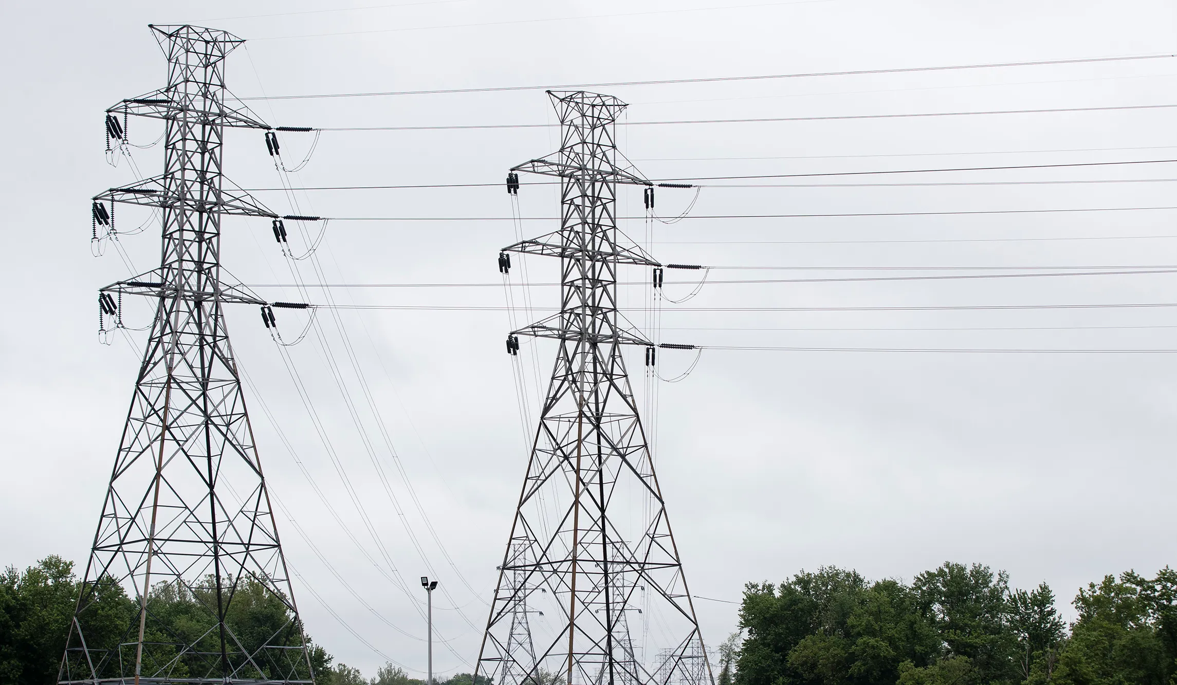 CEO of power reliability organization resigns after arrest for domestic violence