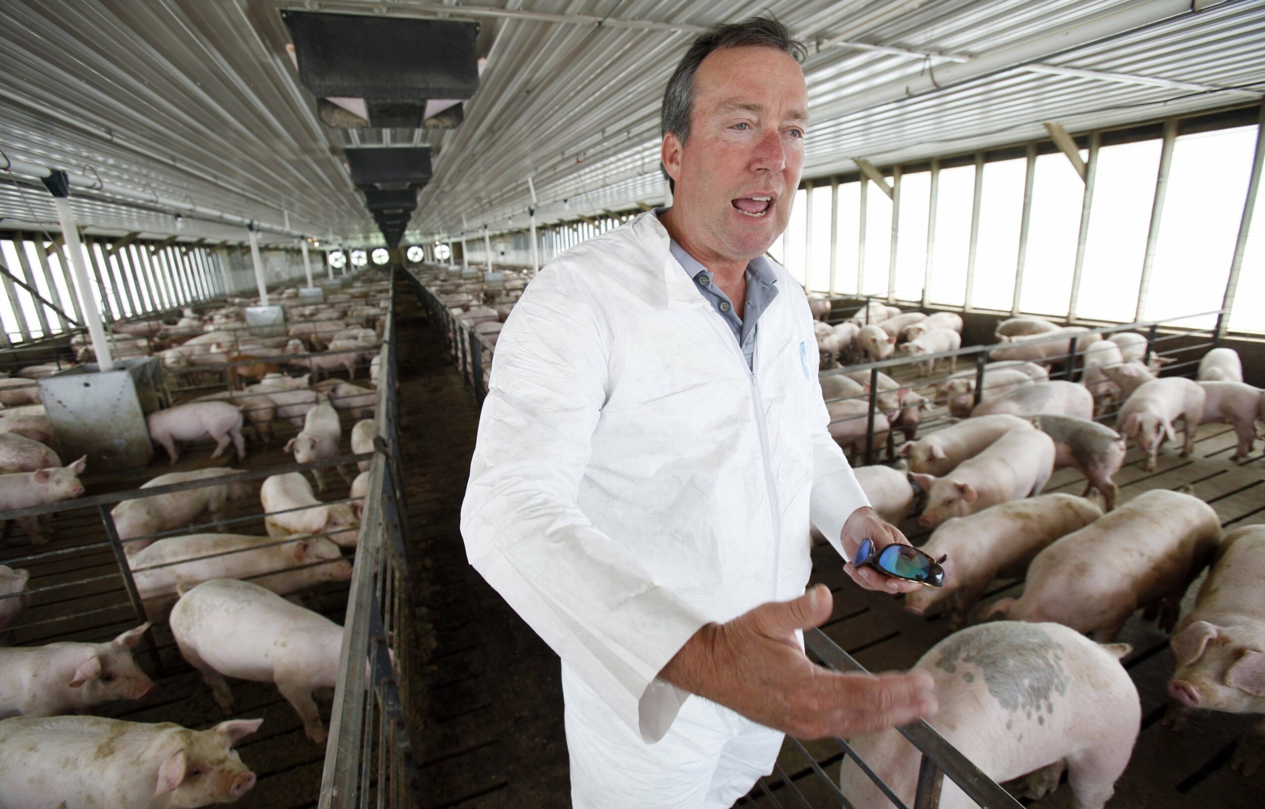 US bacon prices rise after virus kills baby pigs