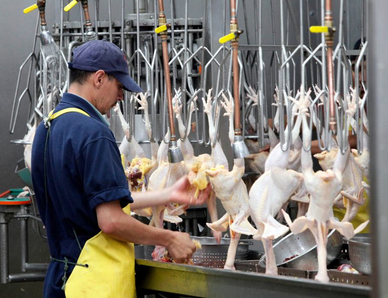 An employee processes chickens at Chinese American Live Poultry in Rosemead, Calif., last year. (AP Photo/Nick Ut)