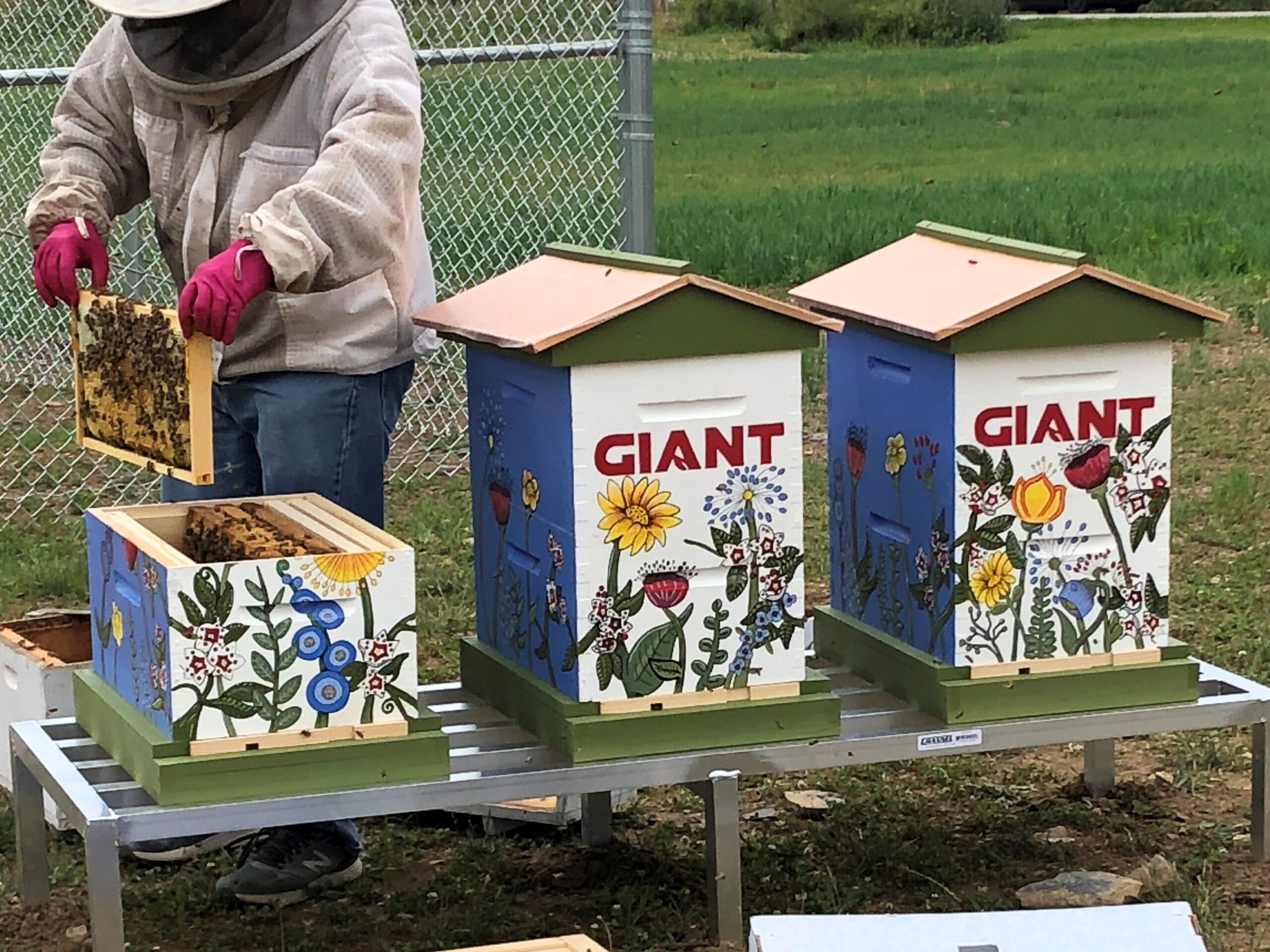 60,000 bees stolen from a grocery store’s headquarters