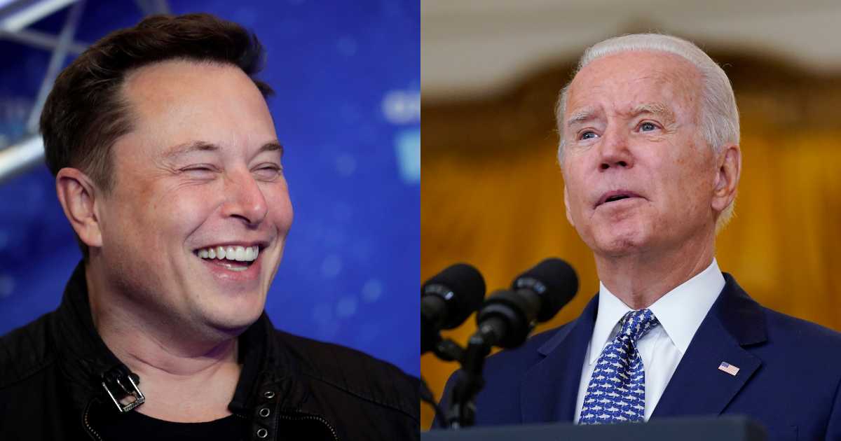 Elon Musk says Biden treating people ‘like fools,’ calls him ‘damp sock puppet’