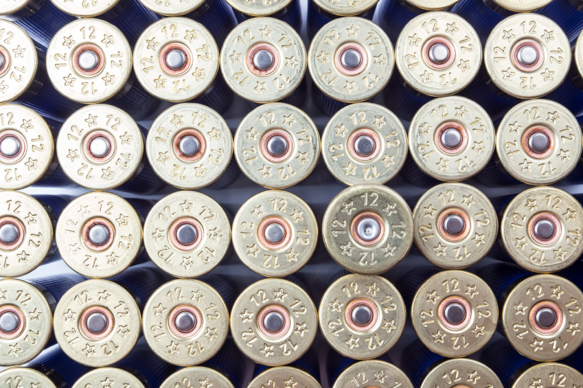 EPA can’t regulate lead bullets, says federal court