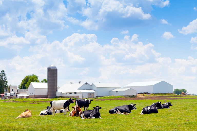 New elements in the bill include an expanded crop insurance program that will include organic farmers, more money for the development of biofuels and expanded funding for farmers markets. (Thinkstock)