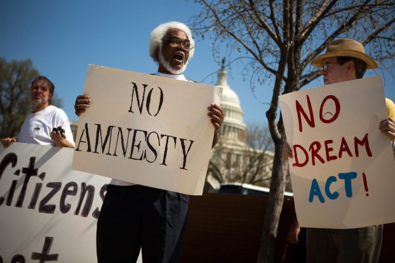 A handful of protesters from anti-amnesty groups, including New Yorkers for Immigration Control and Enforcement and The Tea Party Immigration Coalition, to demonstrate in front of the Capitol building April 10, 2013, in Washington, D.C. (Allison Shelley/Getty Images)
