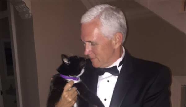 The Pence family cat, Oreo, has died months after making the big move to Washington, D.C. (Photo courtesy of Karen Pence, via Twitter)