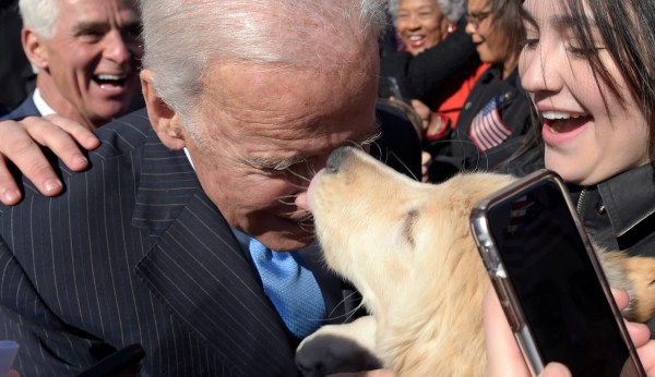 ‘It says a lot’: Biden attacks Trump for not owning pets