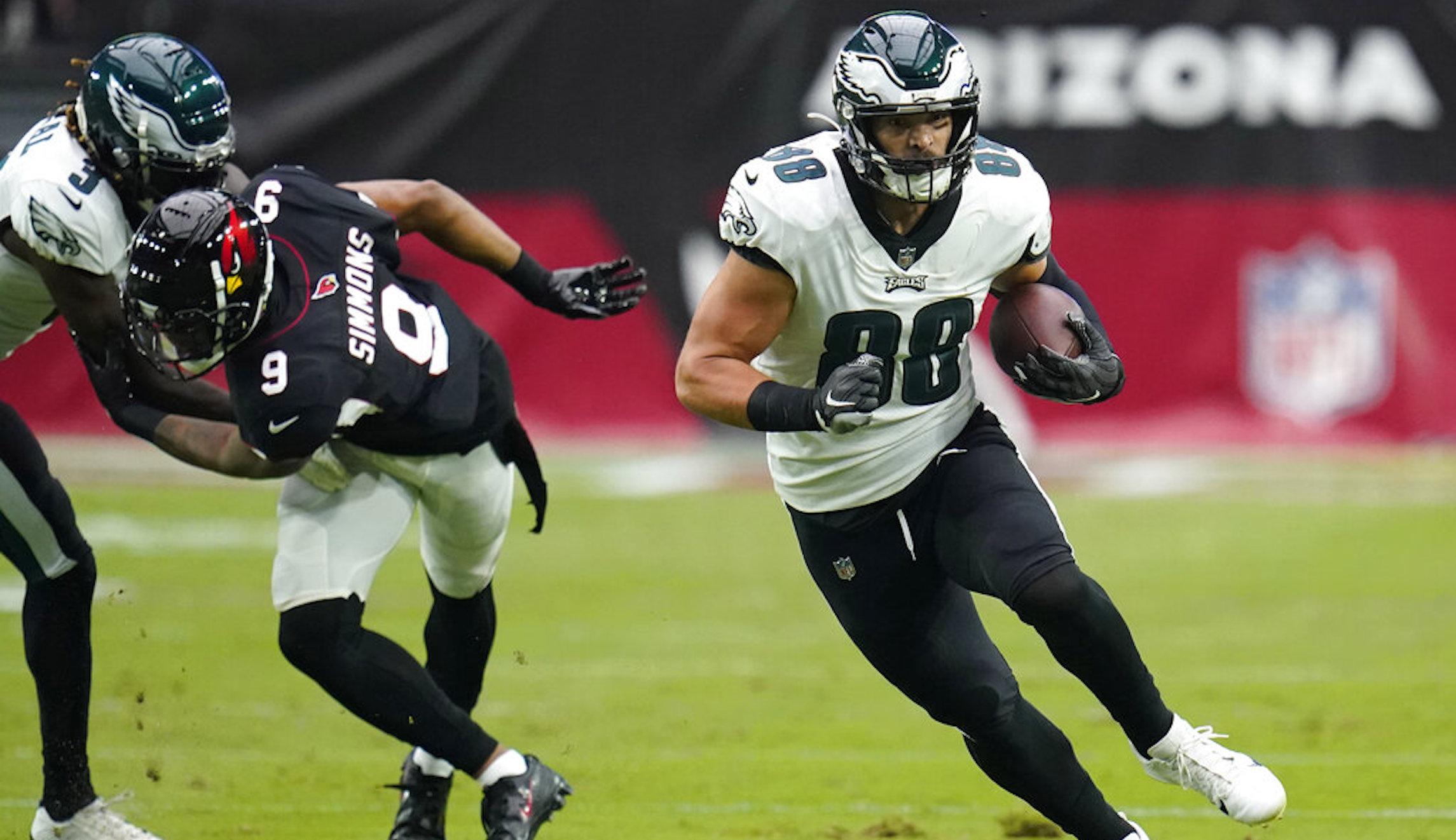 US bird population has fallen by 3 billion in 50 years