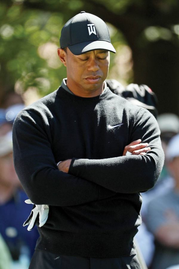 Tiger and the Cubs