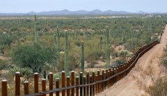 Migrants abandoned body of 7-year-old Indian girl after she died while crossing border