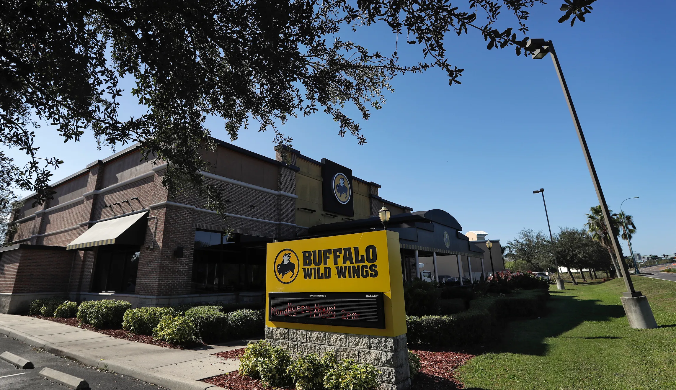 Andrew Cuomo’s anti-science war on Buffalo wings