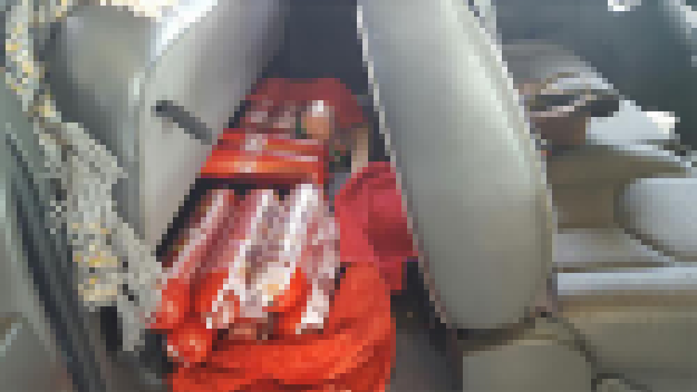 U.S. Customs seizes 14 huge rolls of bologna