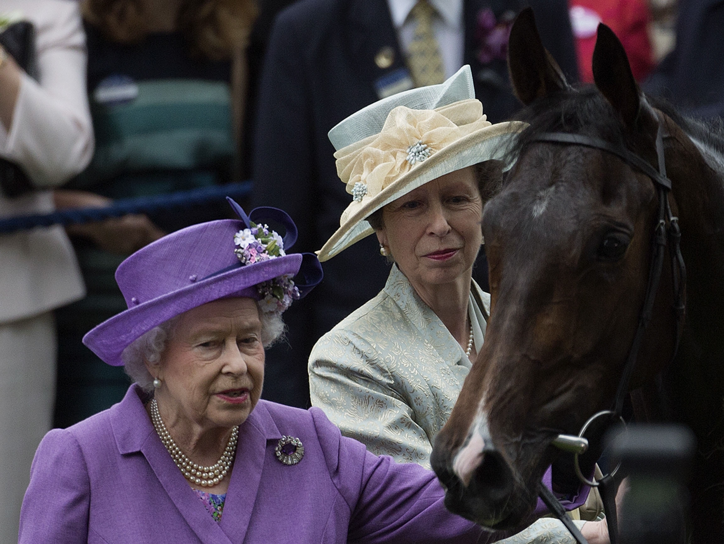 Racehorse owned by Britain’s queen fails dope test
