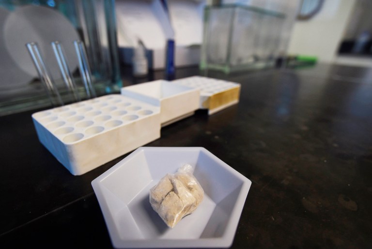 Trump revealed during a roundtable in March that he would tap Christie to lead the panel. (AP Photo/Mike Stewart)