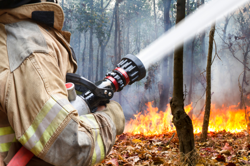 Feds paid for fighting fake fires