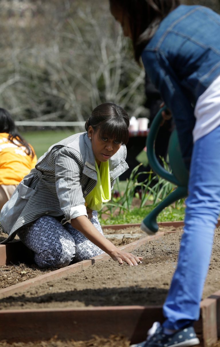 First lady Michelle Obama plants wheat seedlings as she keeps an eye on Ariana Docanto, right, from Arthur D. Healey School in Somerville, Mass., watering the planting bed, during the spring planting of the White House garden, Thursday, April 4, 2013, at the White House in Washington. (AP Photo/Pablo Martinez Monsivais)