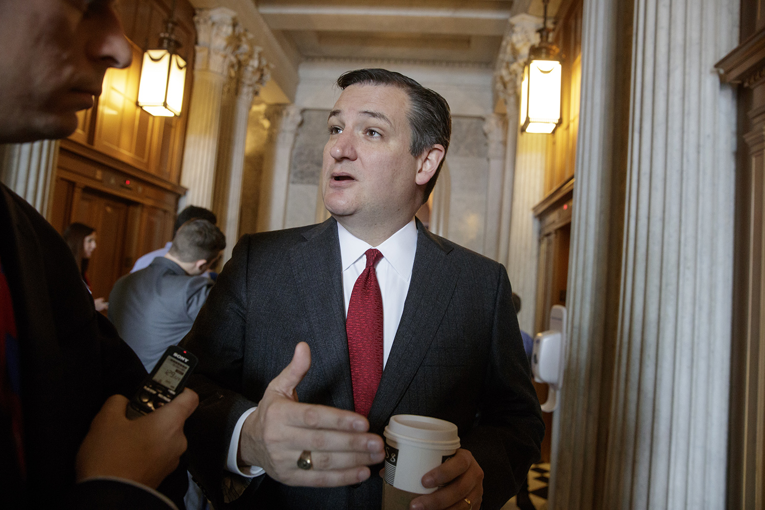Cruz: Americans will ‘tar and feather’ GOP if premiums go up