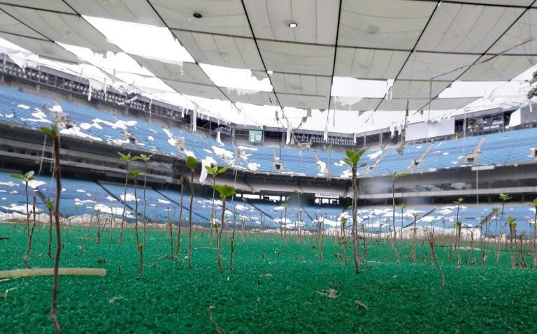 Tree seedlings grow on the turf of the Pontiac Silverdome in Pontiac, Mich. The 80,000-seat indoor stadium hosted the Super Bowl, the NBA finals, the World Cup, Wrestlemania and concerts by Elvis Presley, Led Zeppelin and the Rolling Stones. Nowadays, the venue is a shell of its former self with its roof in tatters and a lack of electrical power that has left the stadiumâs innards dark and mold-covered. The Silverdomeâs current owner is determined to cash in before itâs too late, putting everything inside up for auction starting on Wednesday, May 21. (AP Photo/Carlos Osorio)
