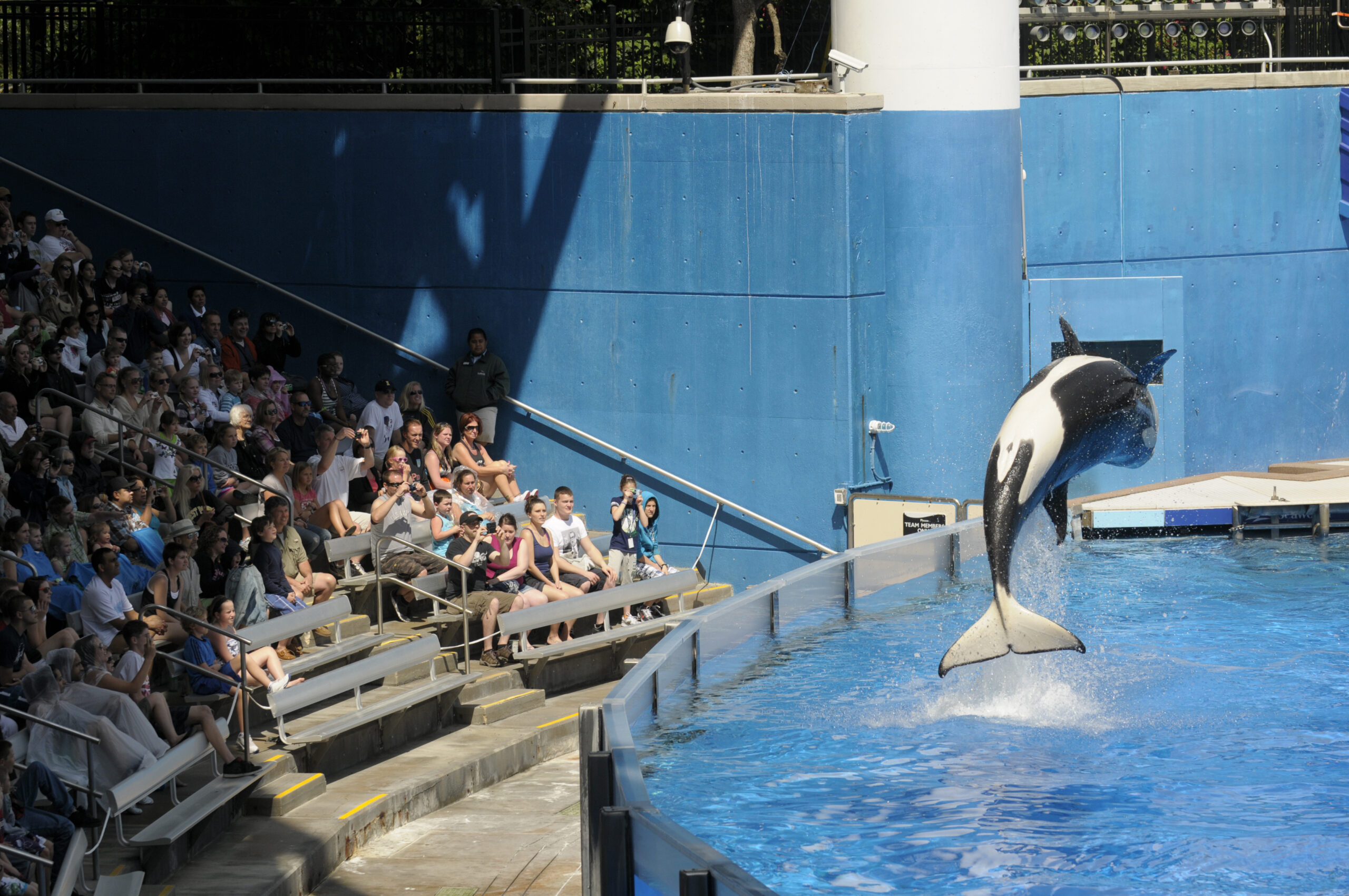 SeaWorld files to go public with $100 million IPO