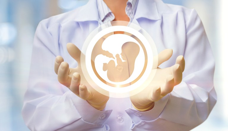 Commentators have noted recently that scientific research is giving the anti-abortion movement a boost. In particular, there is now compelling evidence that unborn humans can indeed feel pain at 20 weeks. (iStock)
