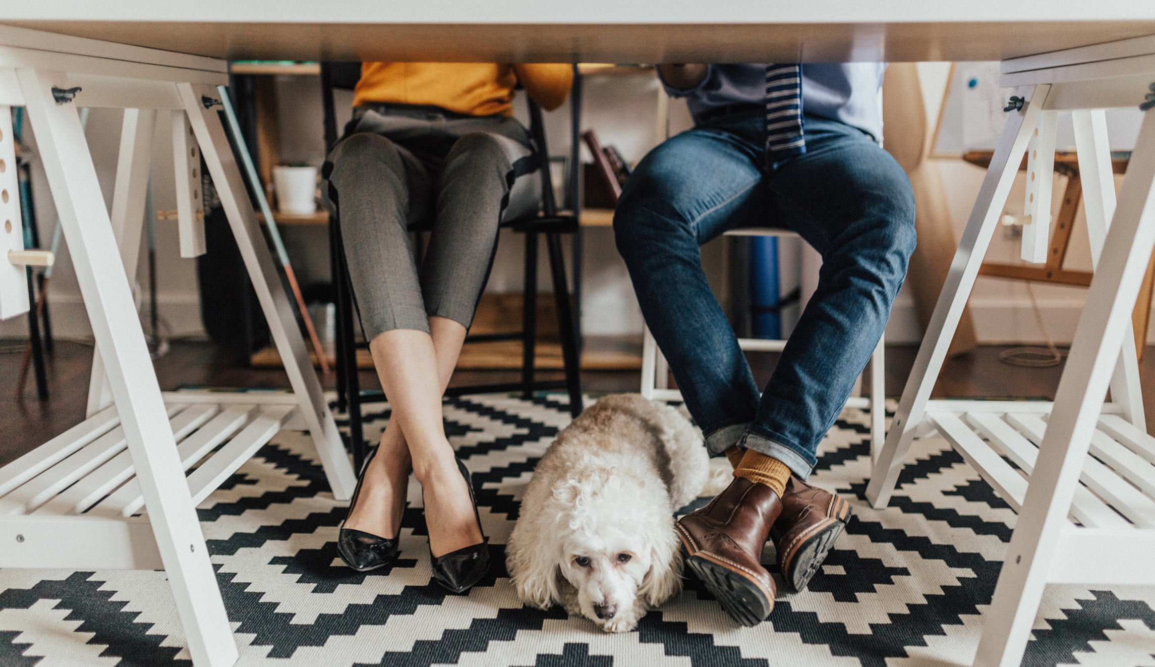An underrated factor in millennial homebuying: Dogs