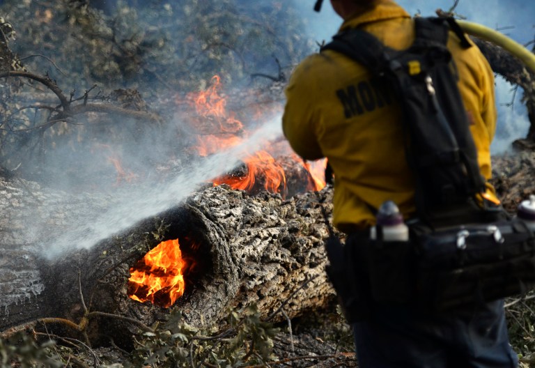 Firefighters extinguish a fire burning in a downed tree on the approach to Taylor Mountain a day after the Junction fire swept across Highway 41 in Oakhurst, Calif. on Tuesday, Aug. 19, 2014. (AP Photo/The Fresno Bee, Eric Paul Zamora)