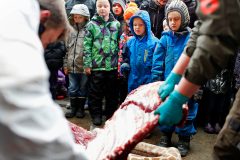 Danish zoo kills giraffe to prevent inbreeding