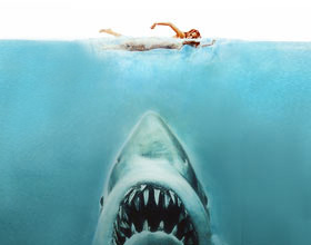 Shark Attack