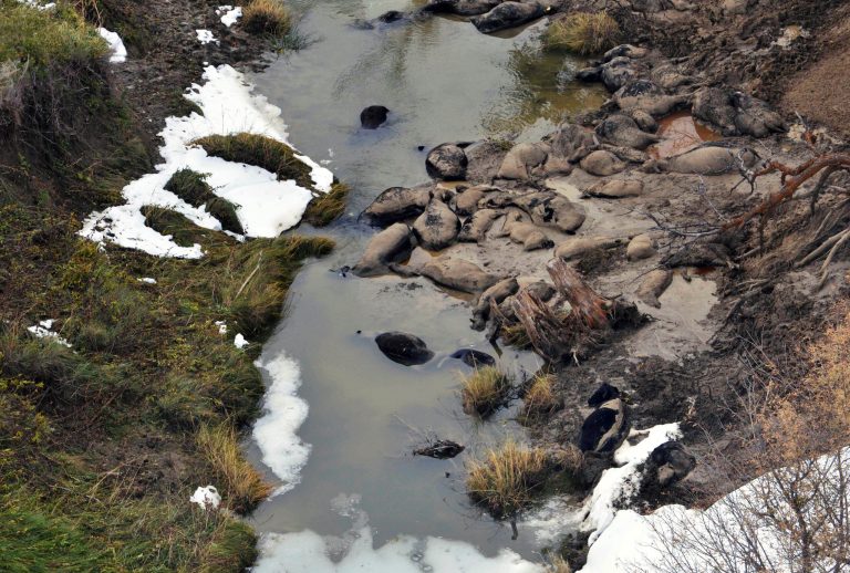 FILE - This Oct. 10, 2013 file aerial photo shows dead cattle in Sulphur Creek in western South Dakota during a flyover of areas hard hit by a snowstorm that killed thousands of animals. In a progress report Wednesday, July 9, 2014, the U.S. Department of Agriculture says farmers and ranchers who suffered heavy livestock and grazing losses due to extreme weather in the past three years have been quick to take advantage of newly available disaster relief funds. The agency said it has distributed more than $1 billion in relief funds, a little less than half the overall amount predicted in the recently passed farm bill, in just over three months. The agency estimates it will spend $2.5 billion overall on disaster relief cases from 2011 to 2014. (AP Photo/KOTA-TV, Pool, File)