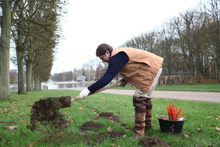  Molecatcher Jerome Dormion uses a shovel in the park of the Chateau de Versailles, west of Paris, Thursday, Nov. 22, 2012. The king is dead, but the molecatcher lives on. He even signs SMS messages: âMolecatcher to the king.â Itâs been over two centuries since Louis XVI was guillotined on Parisâ Place de la Concorde, but the job of hunting the underground rodent that so troubled French monarchs on the grounds of the Versailles palace still exists. (AP Photo/Thibault Camus)  